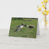 Schwein mit Ziegenfreunden Karte (Gelbe Blume)