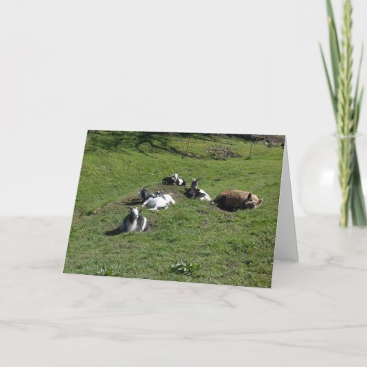 Schwein mit Ziegenfreunden Karte (Vorderseite)