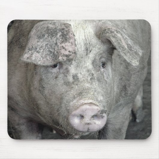 Schwein Mousepad (Vorne)