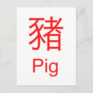 Schwein Postkarte