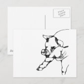 Schwein Postkarte (Vorne/Hinten)