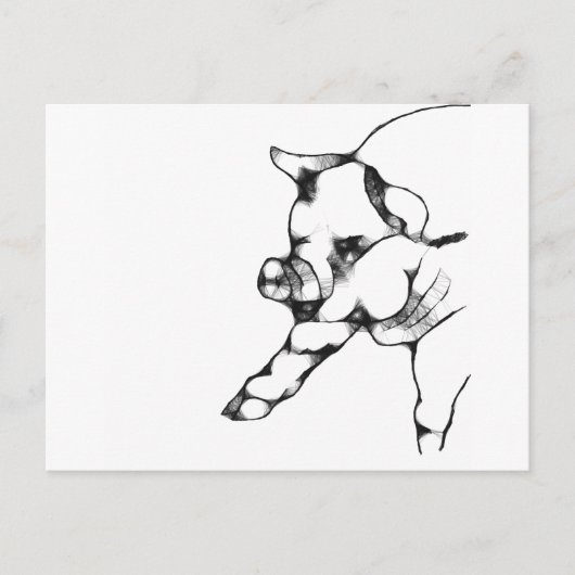 Schwein Postkarte (Vorderseite)