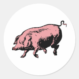 Schwein Sau pig hog Runder Aufkleber