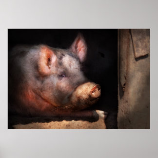 Schwein - Schwein Nummer zwei Poster