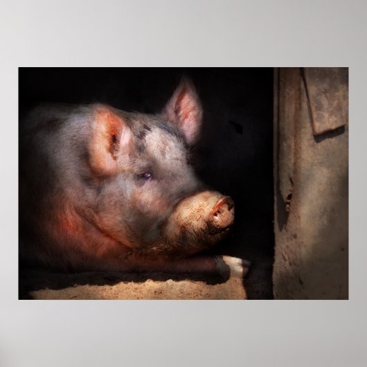 Schwein - Schwein Nummer zwei Poster (Vorne)
