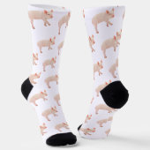 Schwein Socken (Gewinkelt)