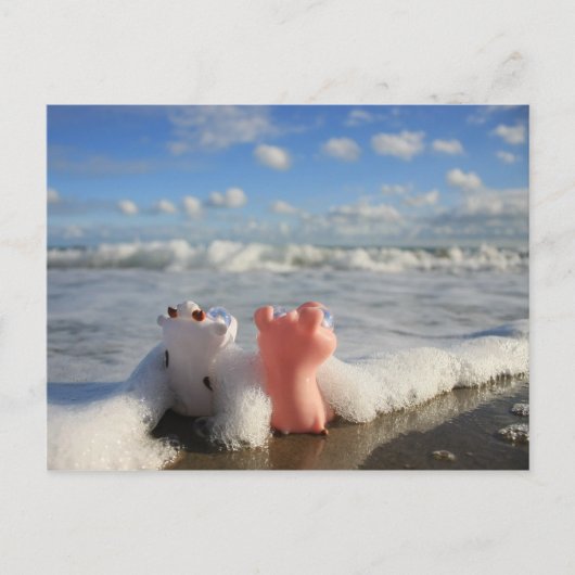 Schwein und Kuh am Strand Postkarte (Vorderseite)