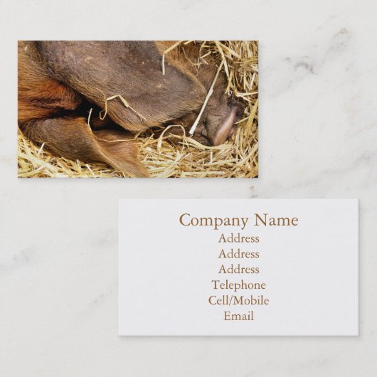 SCHWEIN VISITENKARTE (Vorne/Hinten)