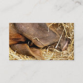 SCHWEIN VISITENKARTE (Vorderseite)