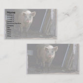Schwein Visitenkarte (Vorne/Hinten)