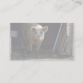 Schwein Visitenkarte (Rückseite)