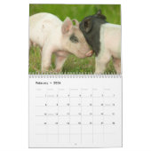 Schwein-Wandkalender - Lächeln im Jahre 2018 Kalender (Feb 2026)