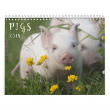 Schwein-Wandkalender - Lächeln im Jahre 2018