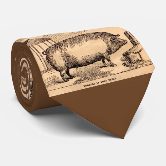 Schweindruck ` Brüter des 19. Jahrhundertsim guten Krawatte (Gerollt)