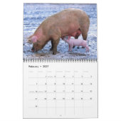 Schweine 2016 Kalender (Feb 2027)