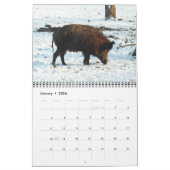 Schweine 2016 Kalender (Jan 2026)