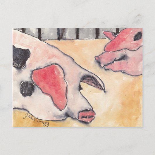 Schweine auf der Landkreis Messe Postkarte (Vorderseite)