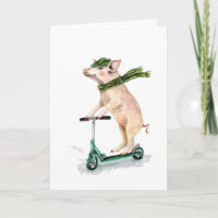 Schweine auf einem Roller