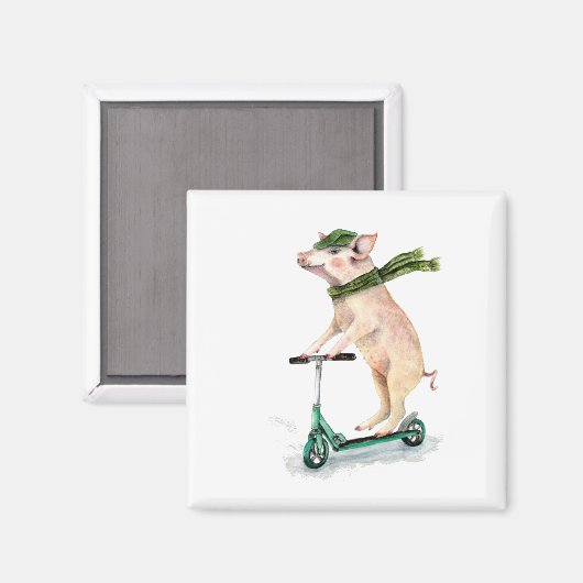 Schweine auf einem Roller Magnet (Vorderseite/Rückseite)