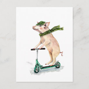 Schweine auf einem Roller Postkarte