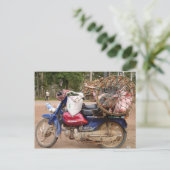 Schweine auf Motorrad-Kambodscha Postkarte (Stehend Vorderseite)