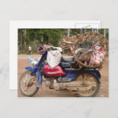 Schweine auf Motorrad-Kambodscha Postkarte (Vorne/Hinten)