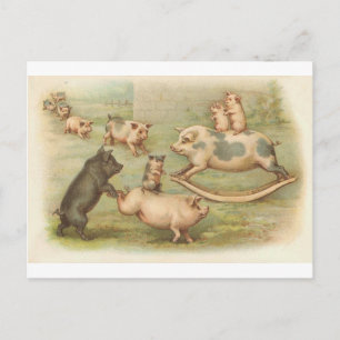 Schweine beim Spielen Vintage-Postkarte Postkarte