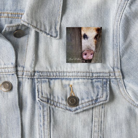 SCHWEINE BUTTON (Beispiel)