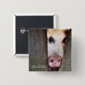 SCHWEINE BUTTON (Vorne & Hinten)