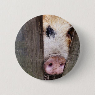 SCHWEINE BUTTON