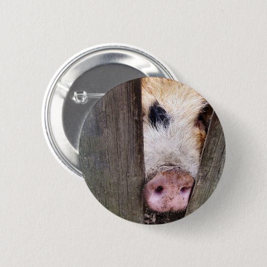 SCHWEINE BUTTON (Vorne & Hinten)
