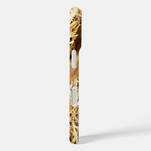 SCHWEINE Case-Mate iPhone HÜLLE (Rückseite / Rechts)