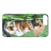 Schweine der abyssinischen Guinea Case-Mate iPhone Hülle (Rückseite (Horizontal))