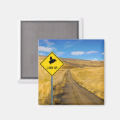 Schweine, die über dem Zeichen fliegen Magnet (Vorderseite/Rückseite)