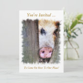 SCHWEINE EINLADUNG (Stehend Vorderseite)