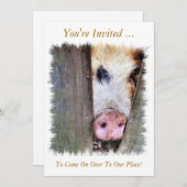 SCHWEINE EINLADUNG (Vorne/Hinten)