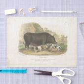 Schweine Ephemera Dekoupage Vintages Farm Tissue Seidenpapier (Handwerk)