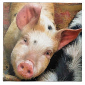 SCHWEINE FLIESE (Vorderseite)