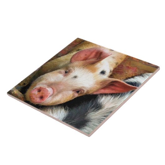 SCHWEINE FLIESE (Seite)