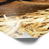 SCHWEINE FOTODRUCK (Ecke)