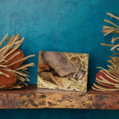 SCHWEINE FOTOPLATTE (Seite)