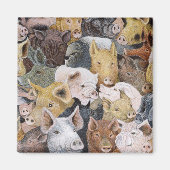 Schweine Galore Magnet (Vorne)