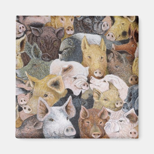 Schweine Galore Magnet (Vorne)