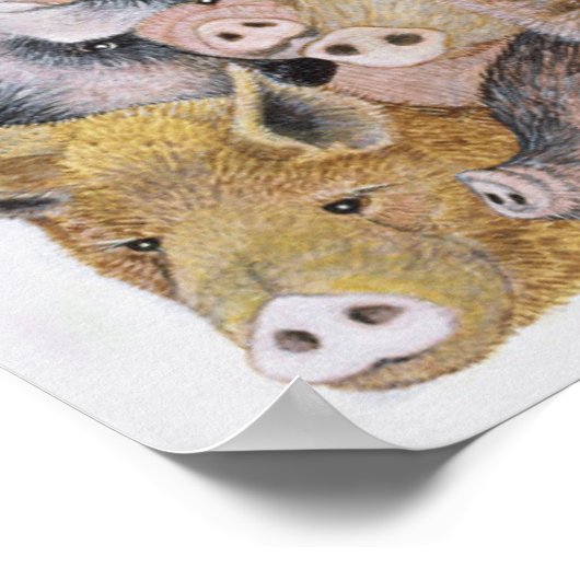 Schweine Galore Poster (Ecke)