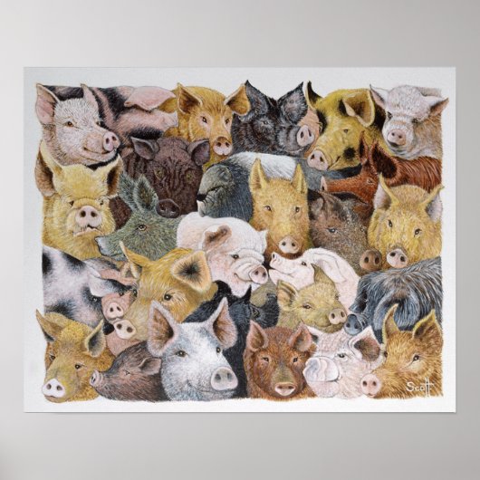 Schweine Galore Poster (Vorne)