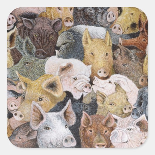 Schweine Galore Quadratischer Aufkleber (Vorderseite)