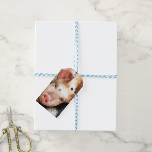 SCHWEINE GESCHENKANHÄNGER (Mit Garn)