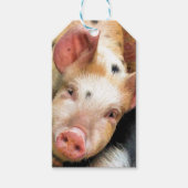 SCHWEINE GESCHENKANHÄNGER (Vorderseite)