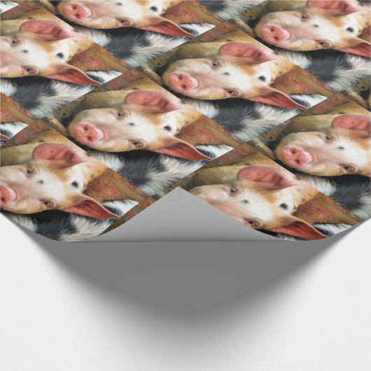 SCHWEINE GESCHENKPAPIER (Ecke)