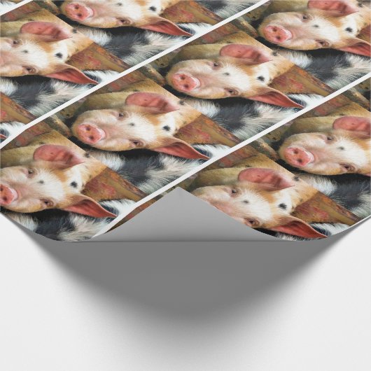 SCHWEINE GESCHENKPAPIER (Ecke)